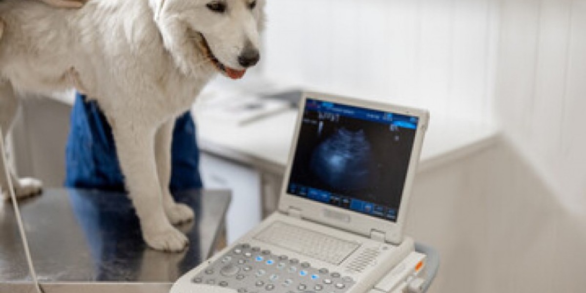 Diagnostic Laboratories » College of Veterinary Medicine » University of Florida